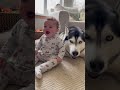 Cutest Howling Duo Baby and Husky#viral #funny #shortvideo