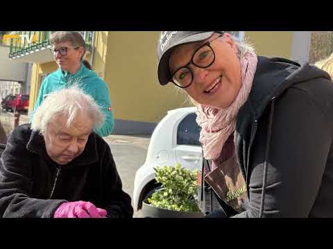 BERGZEIT zeigt Pflanzaktion