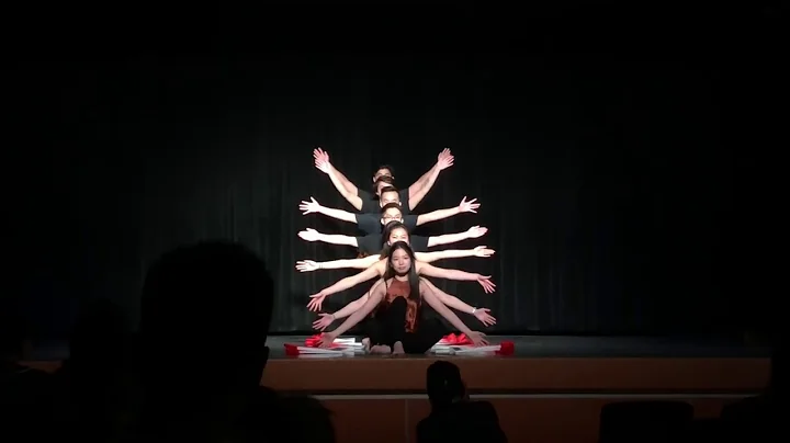 PURDUE VSA Fan Dance 2018-2019 | 17th Annual VIA-1...