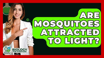 Are Mosquitoes Attracted To Light? - Biology For Everyone