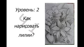 2 уровень. Как НАРИСОВАТЬ ЛИЛИИ? 1 часть.