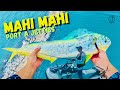 Once In A Lifetime Jetty Catch MAHI MAHI Corpus Christi TX Catch And Cook Once In A Lifetime Jetty Catch MAHI MAHI Corpus Christi TX Catch And Cook