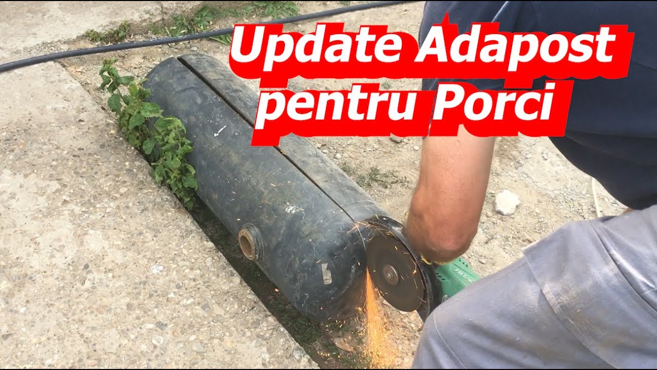 Adapost pentru Porci Update (O NOUA FAMILIE)