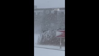 Lake-Effect Snow Causes New York Traffic Nightmare