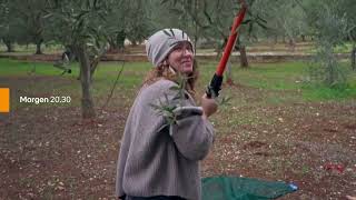 RTL 4 (Netherlands) continuity - March 24, 2025