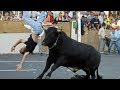 Funnys  bullfighting festival 1  stupid people  troll bull fails try not to laugh  fun