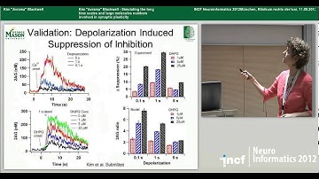 Kim Avrama Blackwell - Simulating the long time scales and large molecules numbers [...] (2012)