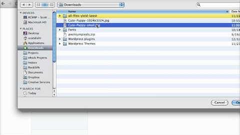 How to Add Download Links using Dropbox - Rock Web Tutorials