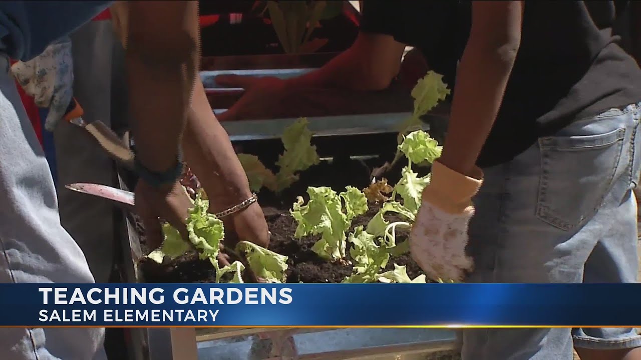 nbc4i school closings Teaching gardens help Salem Elementary students learn to be healthy
