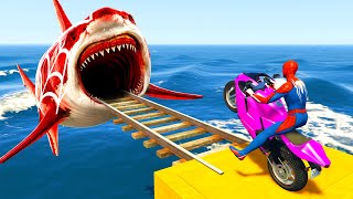 GTA 5 Crazy Ragdolls | Spiderman by Motorcycle, Cars On Rainbow Spiders Bridge (Spider Shark Jumps)
