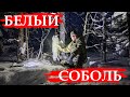 ОХОТА НА СОБОЛЯ Серия № 21 Добычливый капкан КП