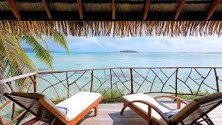 Beach Chairs in Paradise: Hotel Room Ambience in Taha'a French Polynesia