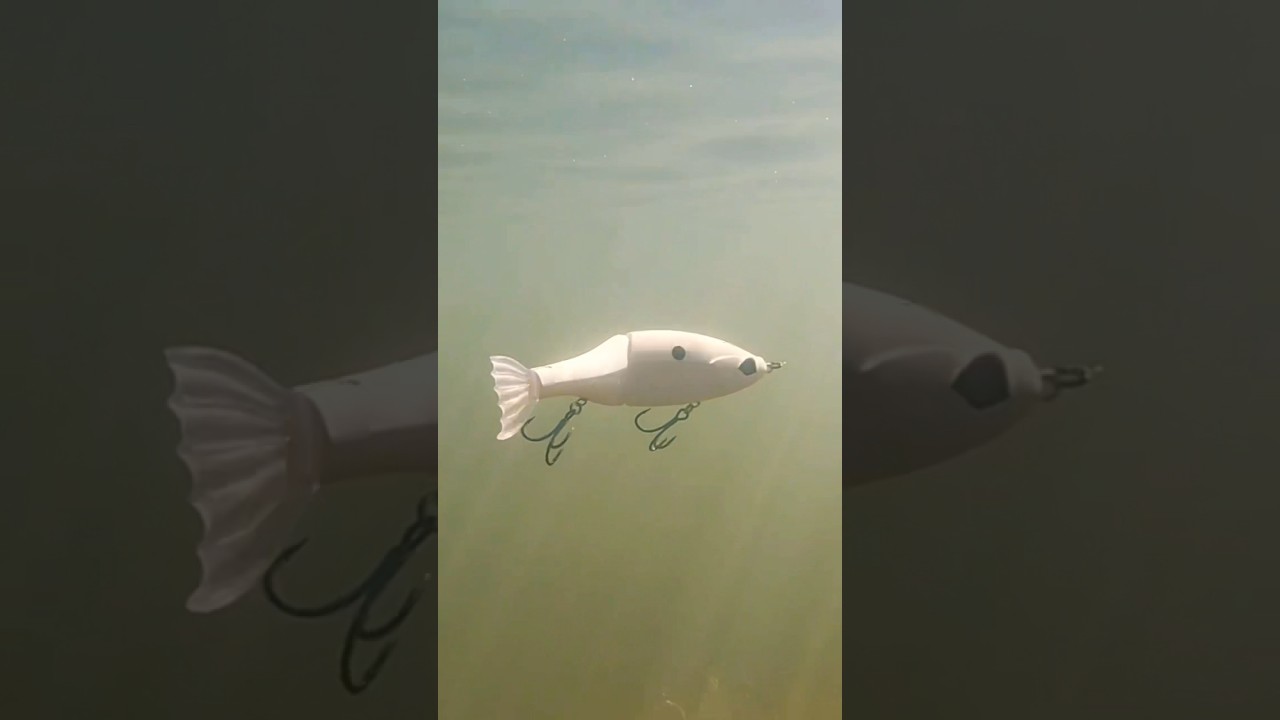Fishing With The BEST Swimbait On The MARKET…