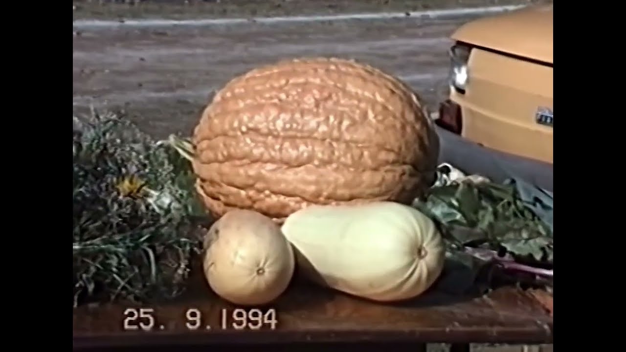 Dożynki 1994 Radzyń Podlaski