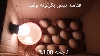 فقاسة بيض بكرتونه ولمبه ناجحه 100%