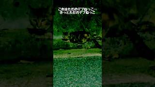 いや。。もういっぱいいっぱいなんだが。。。