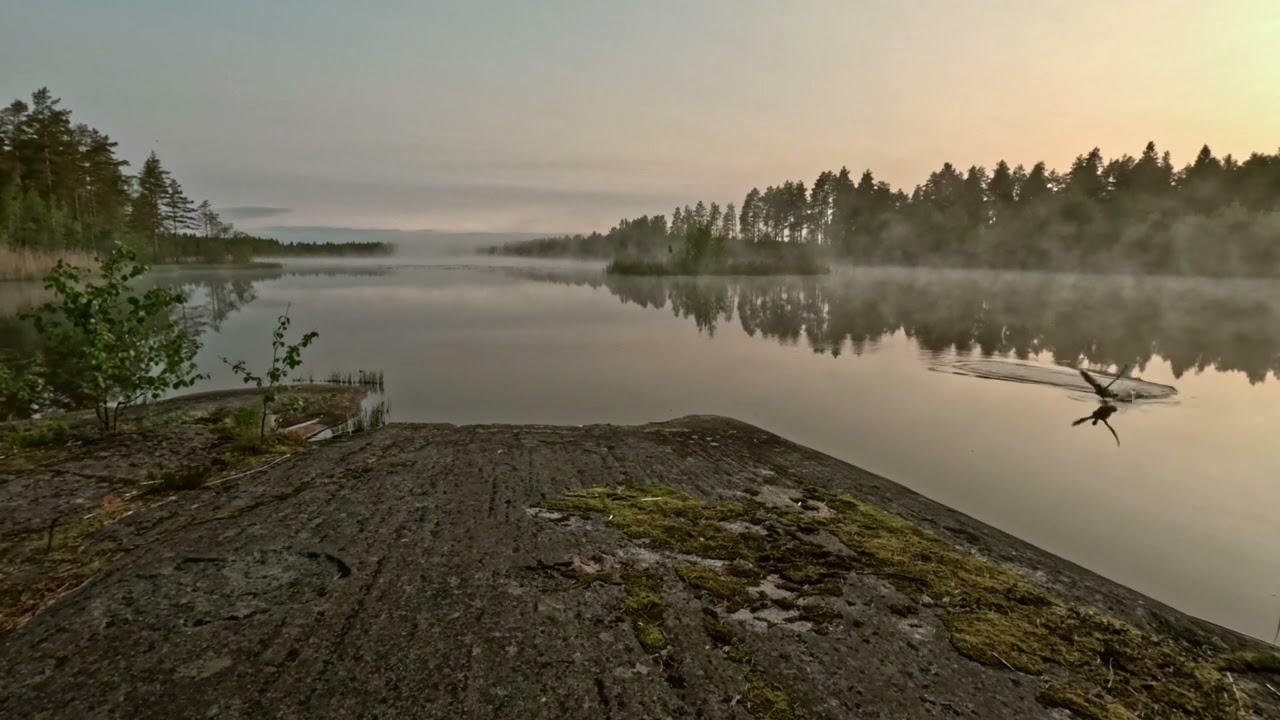 Torsviken - Långsjön