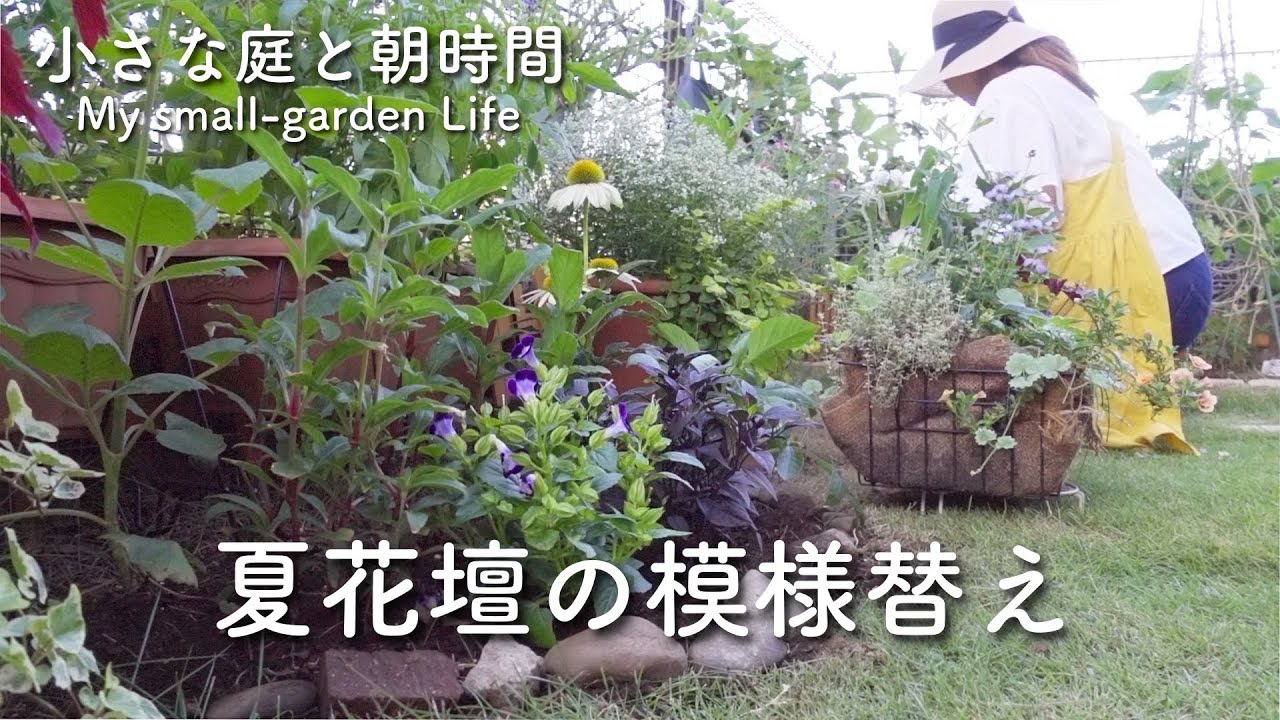 ガーデニング 涼しげな夏の花を花壇に植える 7月下旬の小さな庭に咲く花 宿根草 Youtube