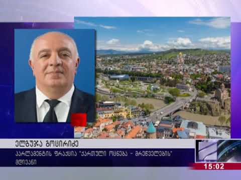 ხმას სალომე ზურაბიშვილს არ ვაძლევ გამგები გაიგებს  ჩაჩავას ექიმი, რომელმაც 20 ათ