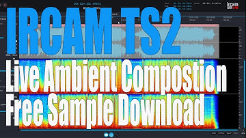 Ircam TS2: Sound Design / Timestretch Experimentation. Live Ambient composition. Sample Download