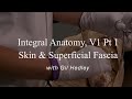 Integral Anatomy, V1 pt1: Skin & Superficial Fascia