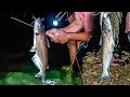 Impresionante PESCA CON ARPÓN Cayó Solo 🐟 PESCADO GRANDE