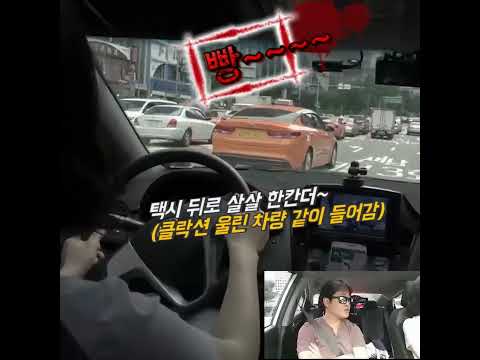 남산의 보복운전자 두꺼비