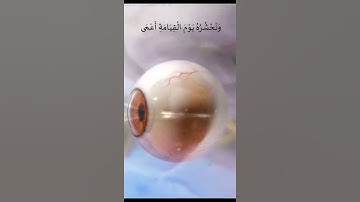 من اروع ما تسمع آيات عطرة من سورة طه من الآية 124  إلى الآية   129 #القران  للشيخ أحمد النفيس