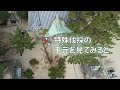 【特殊伐採】厳島神社 ヒノキの「御神木」を特殊伐採！目線でみると・・・　 山口県防府市