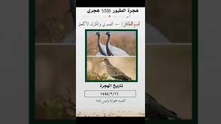 هجرة الطيور ١٤٤٥