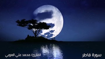سورة فاطر | إِنَّ الَّذِينَ يَتْلُونَ كِتَابَ اللَّهِ وَأَقَامُوا الصَّلَاةَ وَأَنفَقُوا مِمَّا...