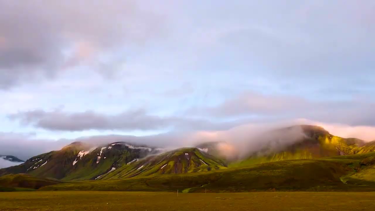 2024 SCSA Fleet Intro