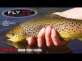 FLY TV - Magic Mayfly Brown Trout Fishing