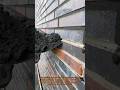 Brick Finishing Hack #BrickHack #MasonryTrick #WallFinishing #Brickwork #ConstructionHack