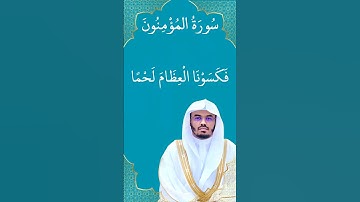 فتبارك الله احسن الخالقين #تلاوات #قرآن # #المؤمنون  #ياسر_الدوسري