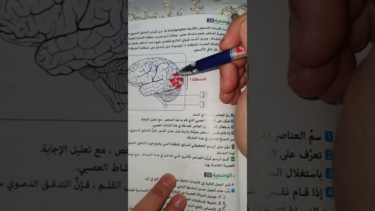 وضعية ادماجية حول الإتصال العصبي سنة رابعة متوسط