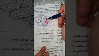 وضعية ادماجية حول الإتصال العصبي سنة رابعة متوسط