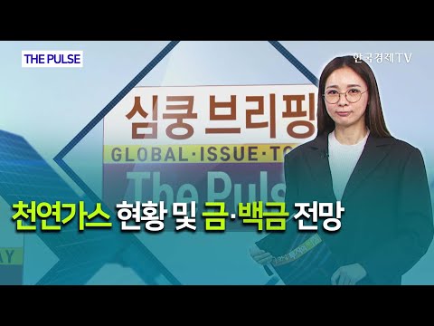 <strong>천연가스</strong> 현황 및 금·백금 <strong>전망</strong> / THE PULSE  / 한국경제TV
