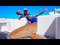 Fishing MASSIVE Sharks off TROPICAL COAST! (ft. Deer Meat For Dinner)