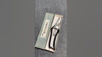 Kéo cắt cành Azumagawa 230mm giá tốt 👍 #dungcubonsai #dungcunhatbai #dungcu