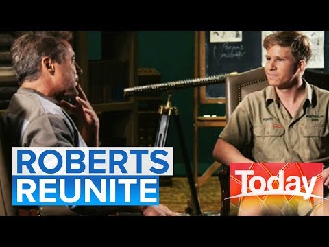 Video: Robert Irwin: Biography, Creativity, Career, Personal Life