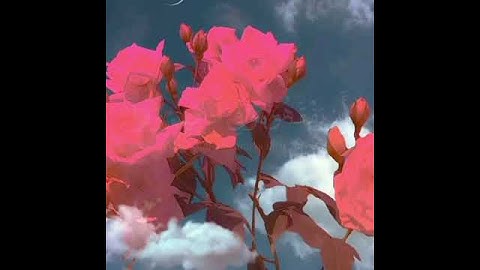 ومن اظلم ممن ذكر بآيات ربه