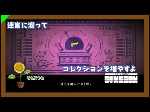 【ローグ】銃器をコレクションするフラワー#1【VTuber】