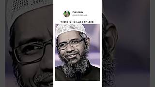 There is no image of lord by Dr Zakir Naik | #drzakirnaik #hinduism #shorts