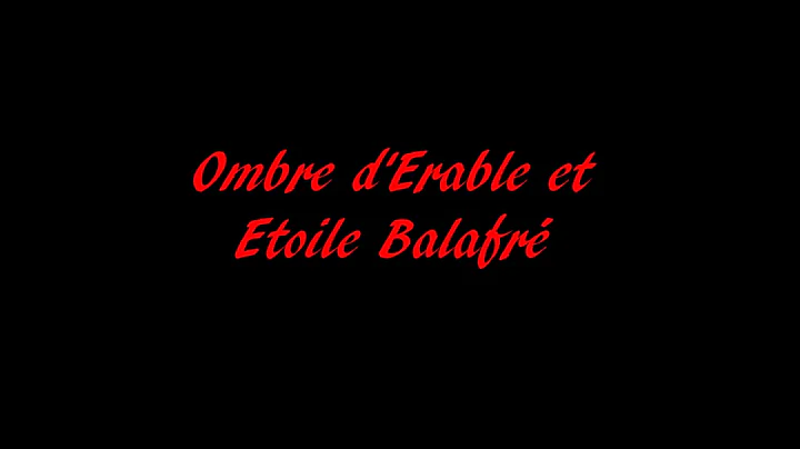 Ombre d'Erable et Etoile Balafré