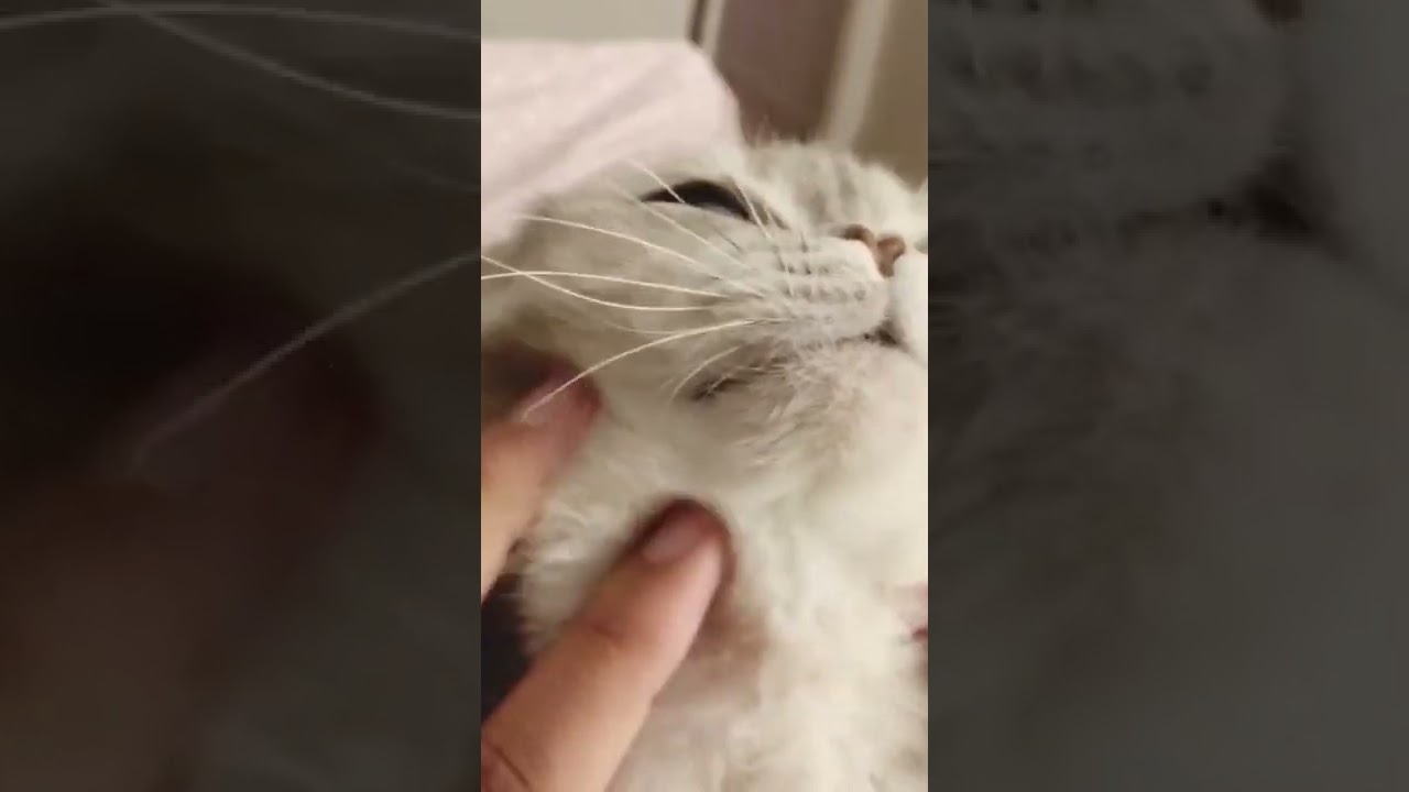 Overstoking on fluff scrubs... they run luw during the weekdays ...