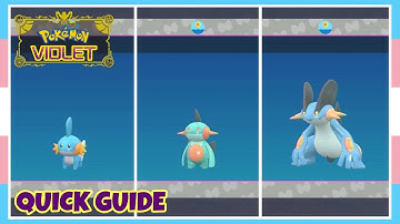How To Evolve Mudkip Into Marshtomp Into Swampert In Pokemon Scarlet & Violet | Quick Guide