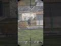 Dayz\кибер коклета добегалась | #motosergoo с помощью #Twitch