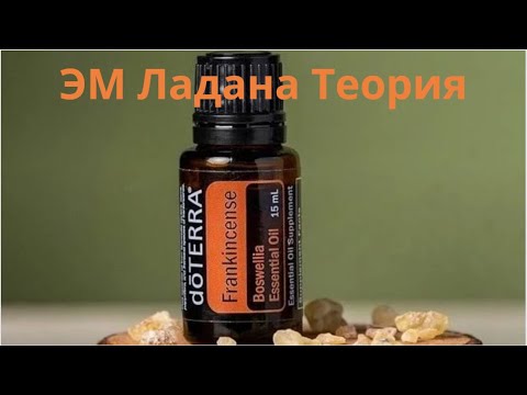 ЭМ Ладан - теория - YouTube
