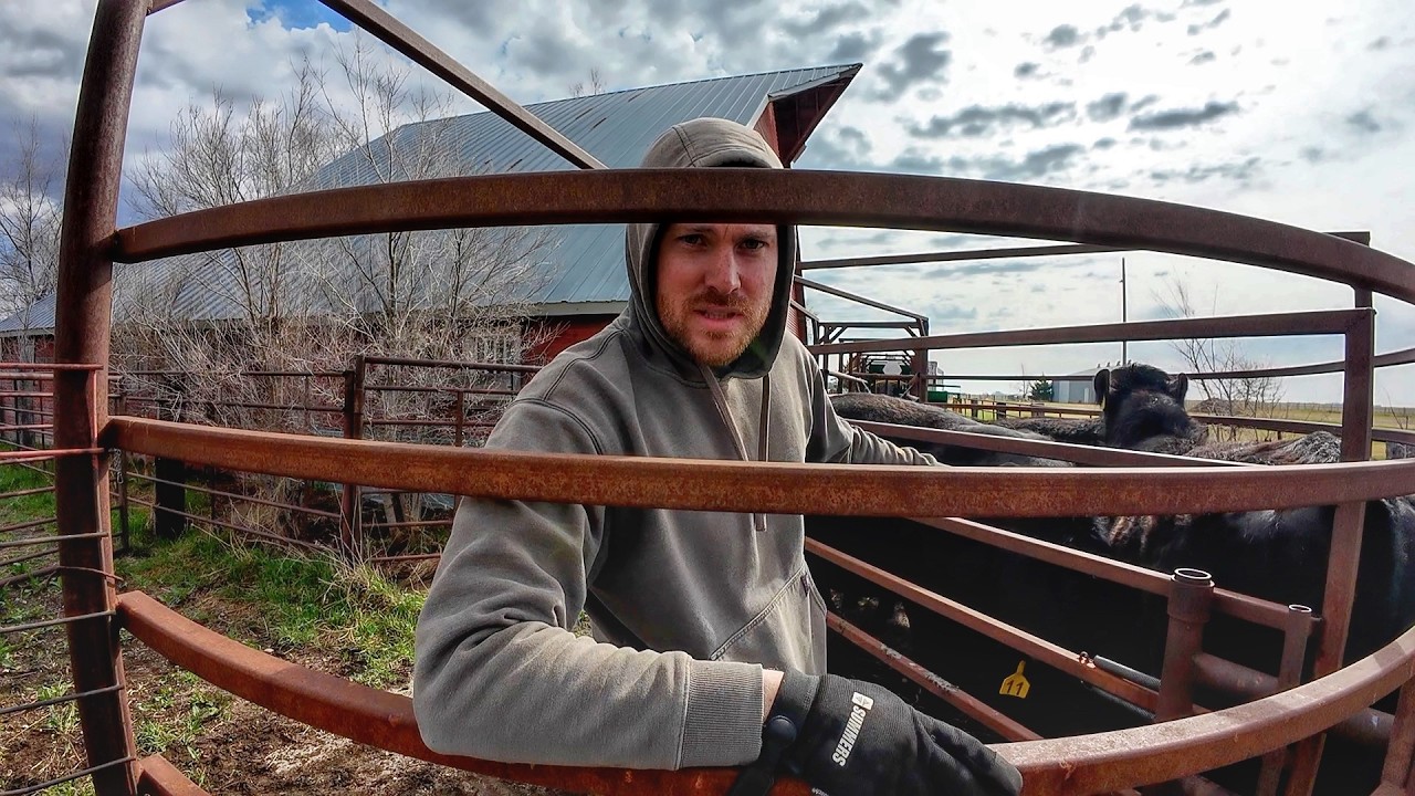 Welcome to the Danger Zone